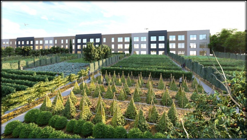 Rendering of box-garden fields and orchard rows extending from apartment buildings