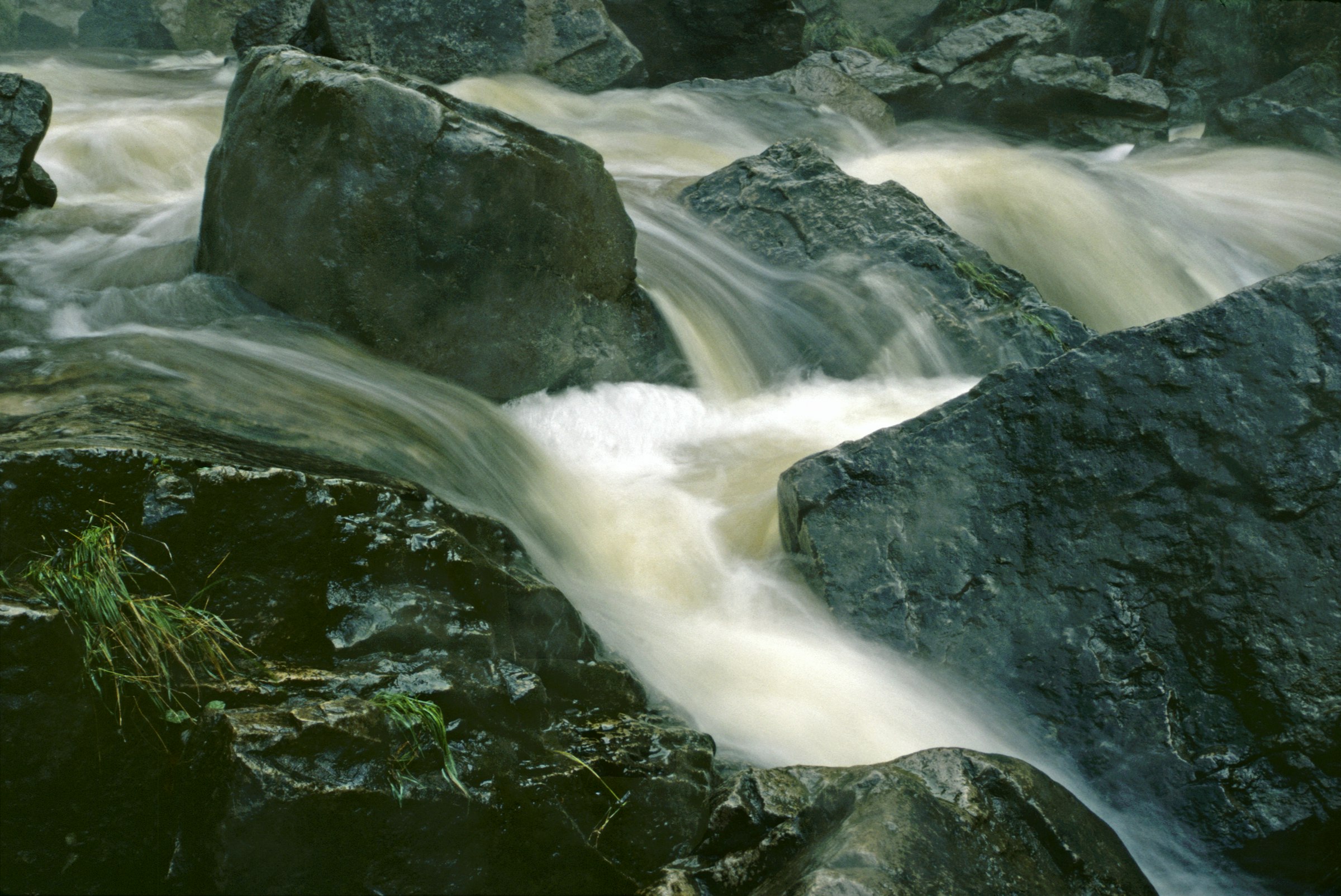 Utilities that behave like living systems -- constant flow, natural redundancy, no single point of failure.